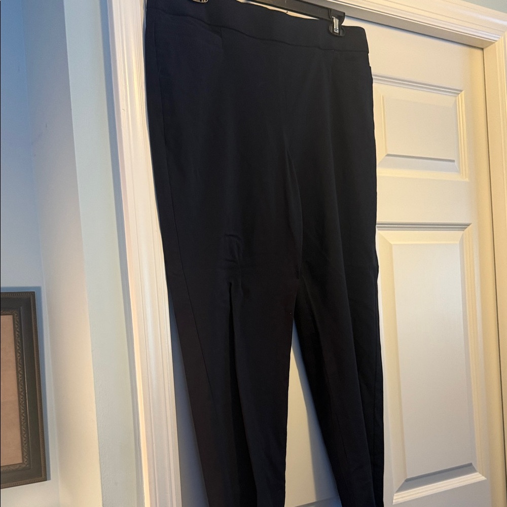 Croft & Barrow Classic Navy Skinny Pants with Belly Band! Never worn Size 18 Reg